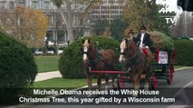 ives White House Christmas Tree-1uLsHo_aHdk