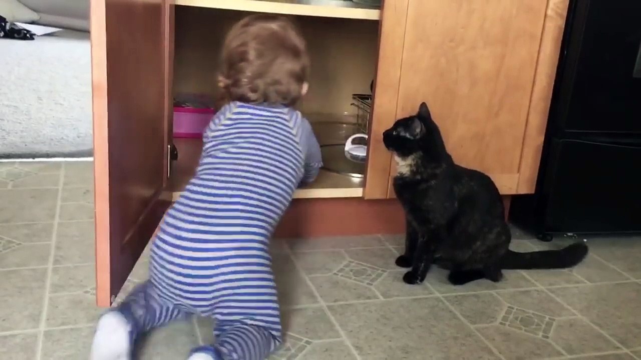 Un chat enferme un enfant dans un placard en claquant la porte