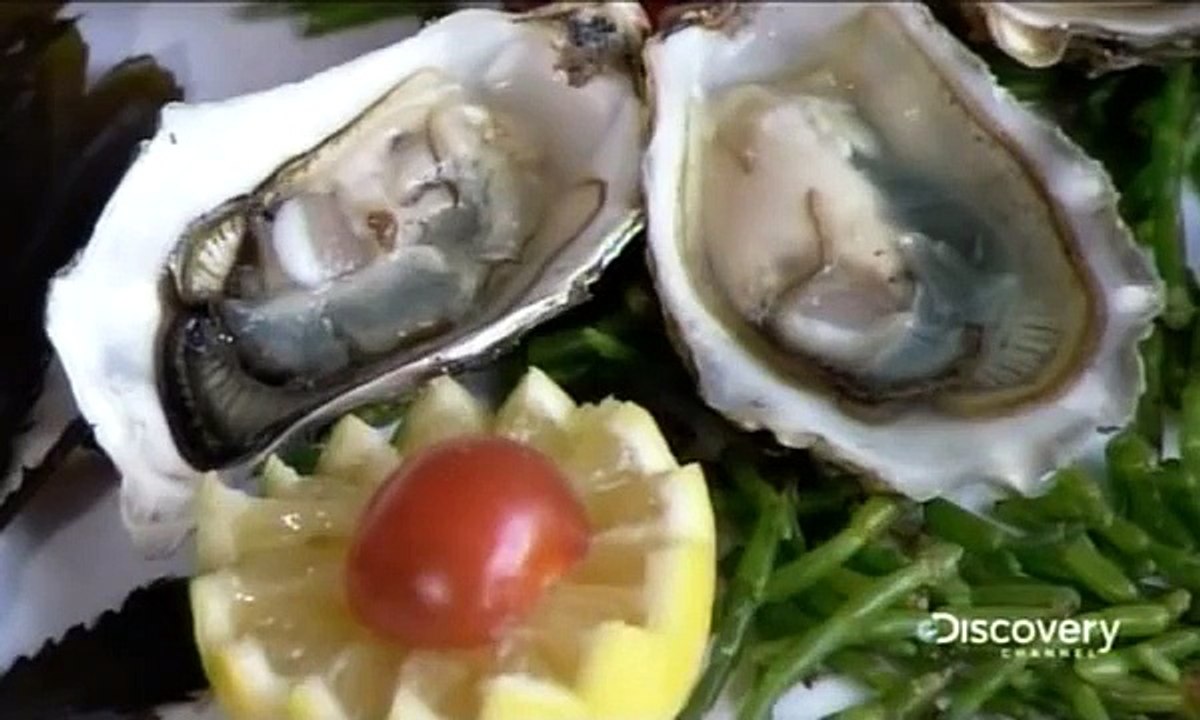 How It's Made Oysters
