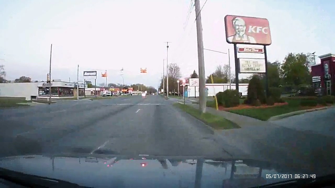 Une oie foudroyée par une ligne électrique