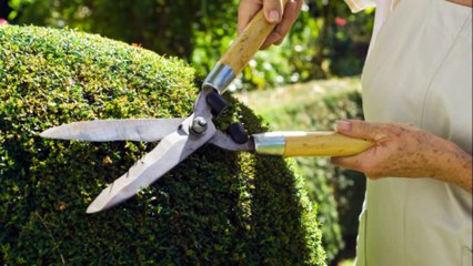 Complete Lawn & Landscape Maintenance - (520) 424-4061