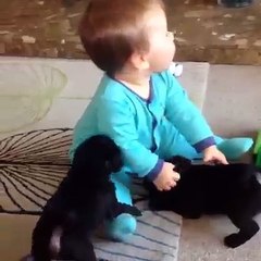 Puppies and babies so cute