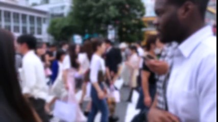 JVZoo Academy Review