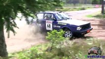 Extreme Volvo Rallying 2016! | Action, crashes & moments!