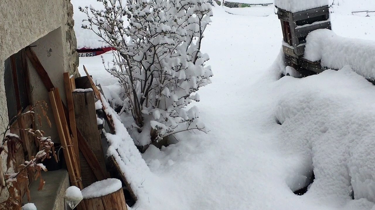 neige au  matin du 26 avril 2017
