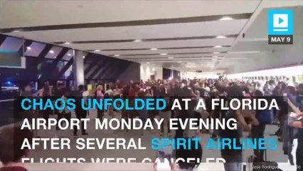 Chaos breaks out at Florida airport after Spirit Airlines cancels flights