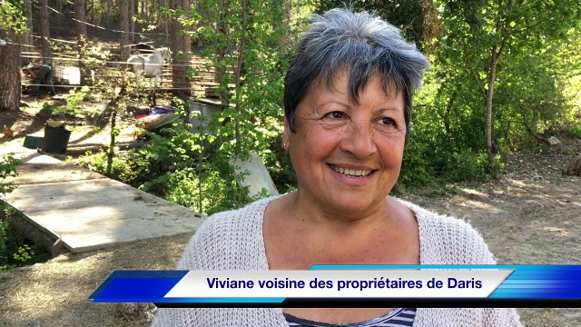Loup dans le Vaucluse : nos reporters ont retrouvé l'animal près du mont Ventoux