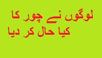 watch what people did with thief                                                         Noor,noor hot videos,noor scandal exposed,Express News,Pakistan News,Express News Live,Khabardar,Aftab Iqbal,Khabardar latest Kal Tak,Takrar,Panama Case,Dawn Leaks,Ma