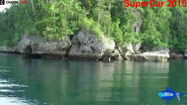 UNA PESCA DEL DÍA DE SUERTE, LA CAPTURA COMPLETA PEZ GIGANTE