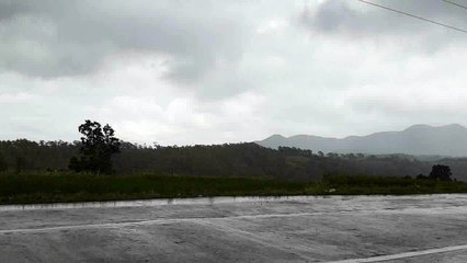 Z CAR M - Asia Rain (Radio Edit)