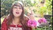 Pashto New Songs 2017 Album Zama Gareba Yara - Zama Gareba Yara