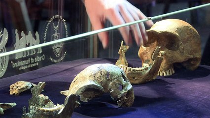 أسلاف الإنسان الحالي تعايشوا مع نوع بشري منقرض في أفريقيا