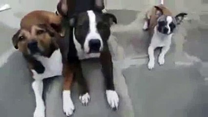 passa a salsicha mano kkkk