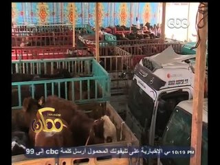 #ممكن | تقرير ٫٫ تسليم رؤوس الماشية للأسر الأكثر احتياجا بمحافظة الفيوم