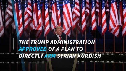 Trump approves plan to arm Syrian Kurds against Islamic State