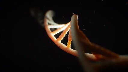 Trump shadow hangs over climate talks opening