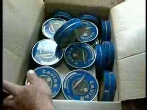 La mafia du caviar, les braconniers de la mer Caspienne