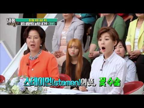 중년 회춘 푸드 '화분'의 효능! [내 몸 사용 설명서] 101회 20160506