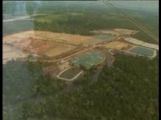 Le miroir aux crevettes