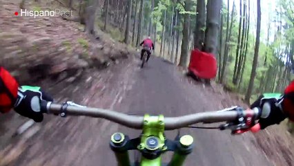 Un enorme oso le dio un susto de muerte a unos ciclistas