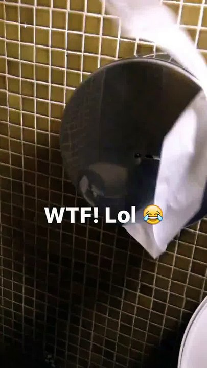 melhor banheiro do mundo , Best bathroom in the world