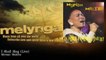 Myriam Makeba - I Shall Sing - Live