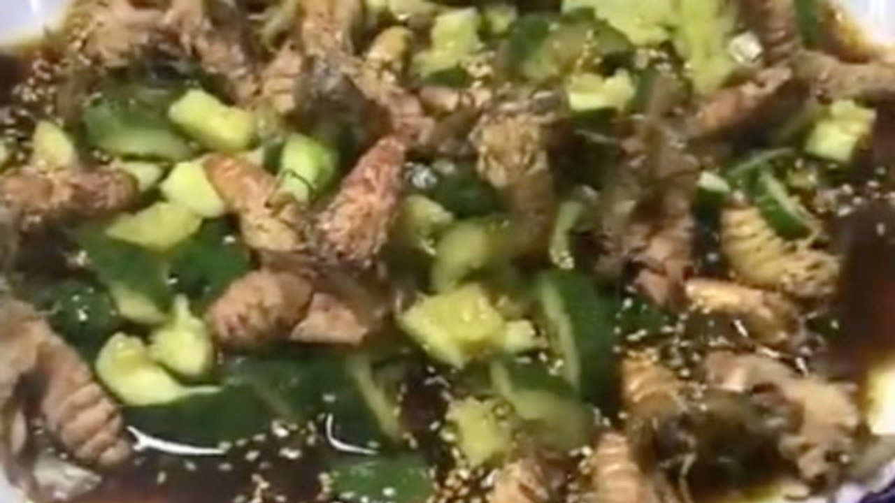 Diners Dig Into Exotic, Squirming Delicacy