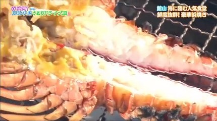 土曜スペシャル 「春満開！房総半島ぐるりドライブ旅」 2017年4月8日 170408 (2/3)