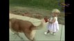 Babies and dogs take each other for a walk - Funny and cute compilation_4