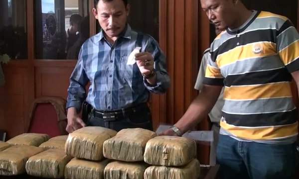 Polres Cimahi Sita Ganja Seberat 23 Kg