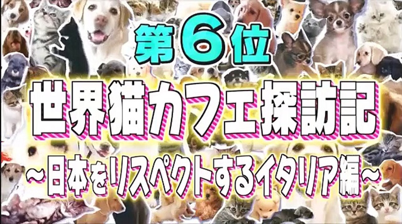 超かわいい映像連発！どうぶつピース！！ 2017年4月14日 170414 (1/2) 総勢237匹！最高にカワイイ瞬間ベスト23 part 2/2