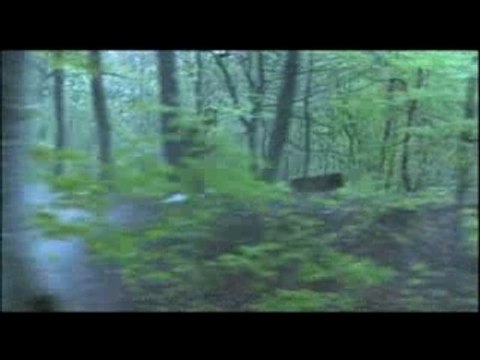 Les Portes Du Temps VF