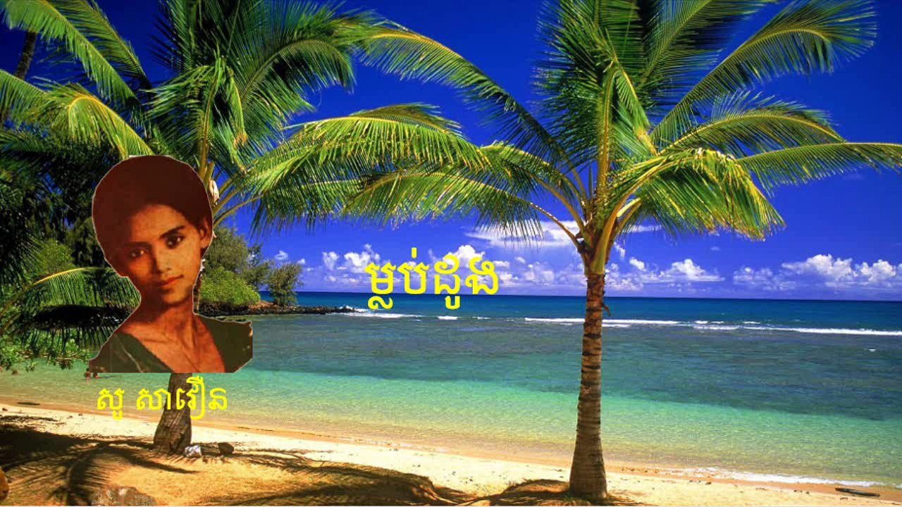 ម្លប់ដូង