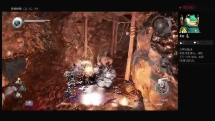 DDL Channel (4) Overview