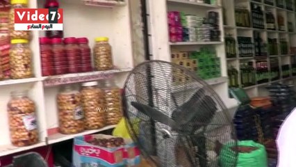 زراعة 125 نوعا من الزيتون تستخدم فى التخليل وصناعة الزيت