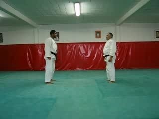 Ippon seoi nage