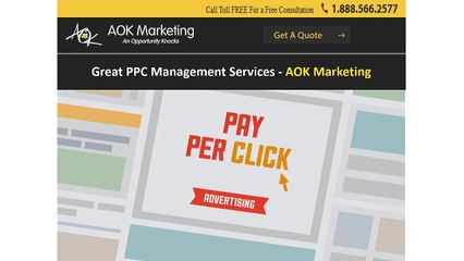 Great PPC Management Services - AOK Marketing