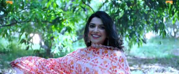 Sargi - Ammy Virk (Saab Bahadar)