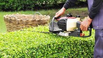 Lawn Maintenance Task Made Easy With Vista Turf