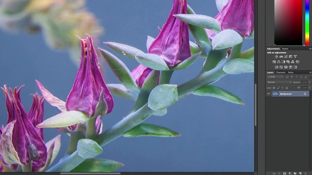 How to Remove Distracting Elements using the enhanced Content Aware Tools in Photoshop CC