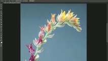 How to Use Focus Mask to Make Selections based on Focus in Photoshop CC