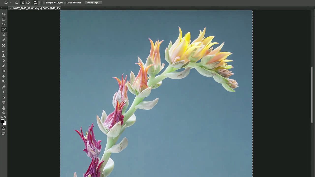 How to Use Focus Mask to Make Selections based on Focus in Photoshop CC