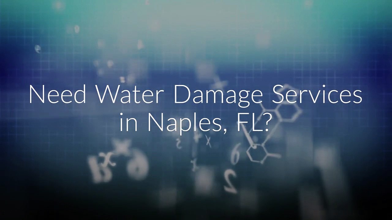 iMold US Water Damage Services in Naples