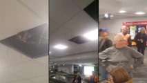 Un raton laveur dans le plafond de l'Aéroport international Pearson de Toronto