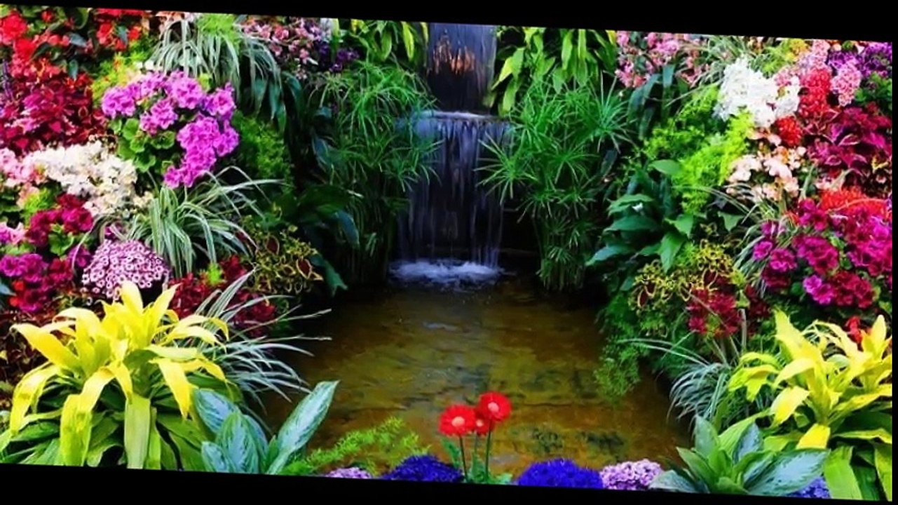 cheba Zahouania ( ya delleli ) , الشابة الزهوانية ( يا دلالي )