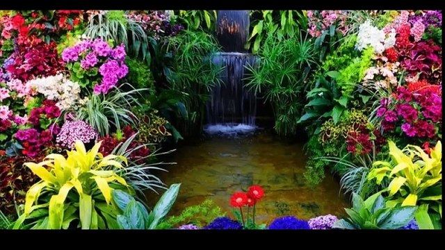 cheba Zahouania (rah m3ouel) , الشابة الزهوانية (راه معول)