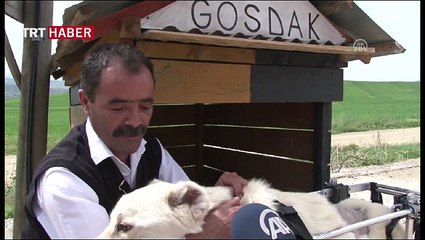 Kostak yeni yürütecine kavuştu