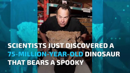 Dinosaur named after 'Ghostbusters' creature found in Montana