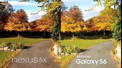 Nexus 5X vs Galaxy S6 Camera Test Comparison