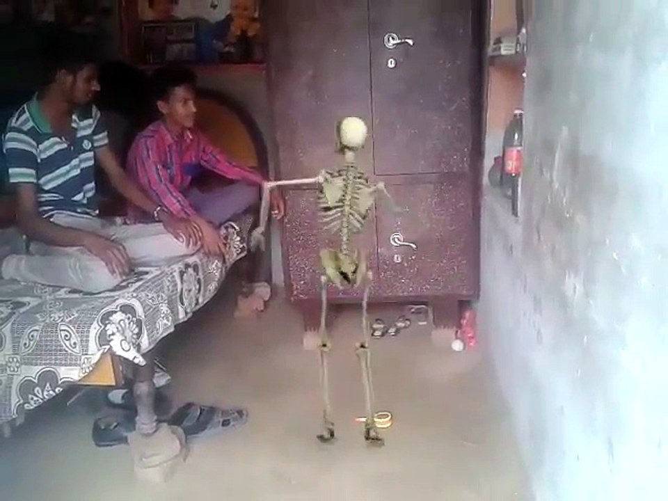 funny video 2017